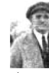 ODOBEȘTEANU Romulus