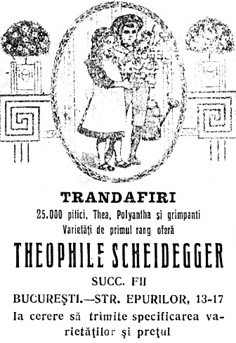 SCHEIDEGGER Th. Alexandru