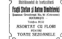 DIMITRIEVICI ȘTEFAN