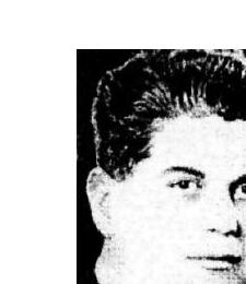 IONESCU P. ALEXANDRU