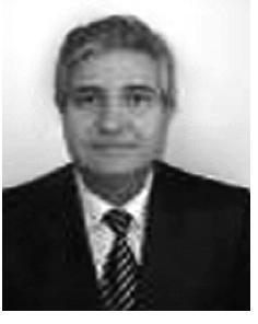 MITREA Ion